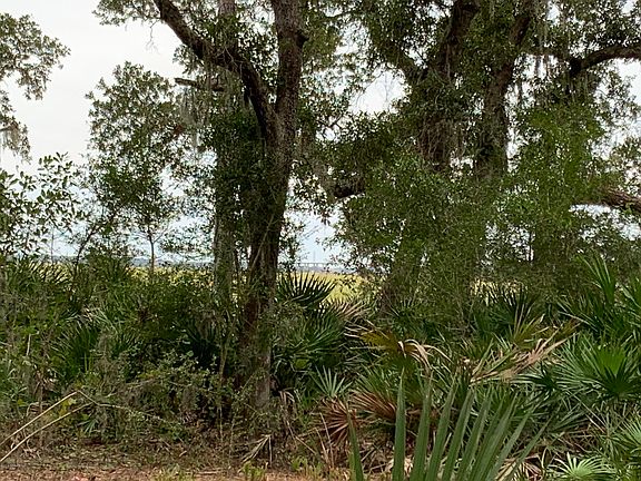 4th image of 96210 Soap Creek Dr