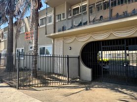 The Ming Tree, Studio