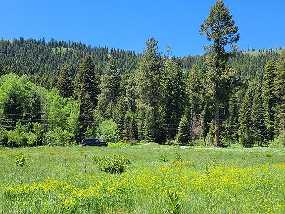 2nd image of 1608 Bear Trail Loop Lot 3A-13