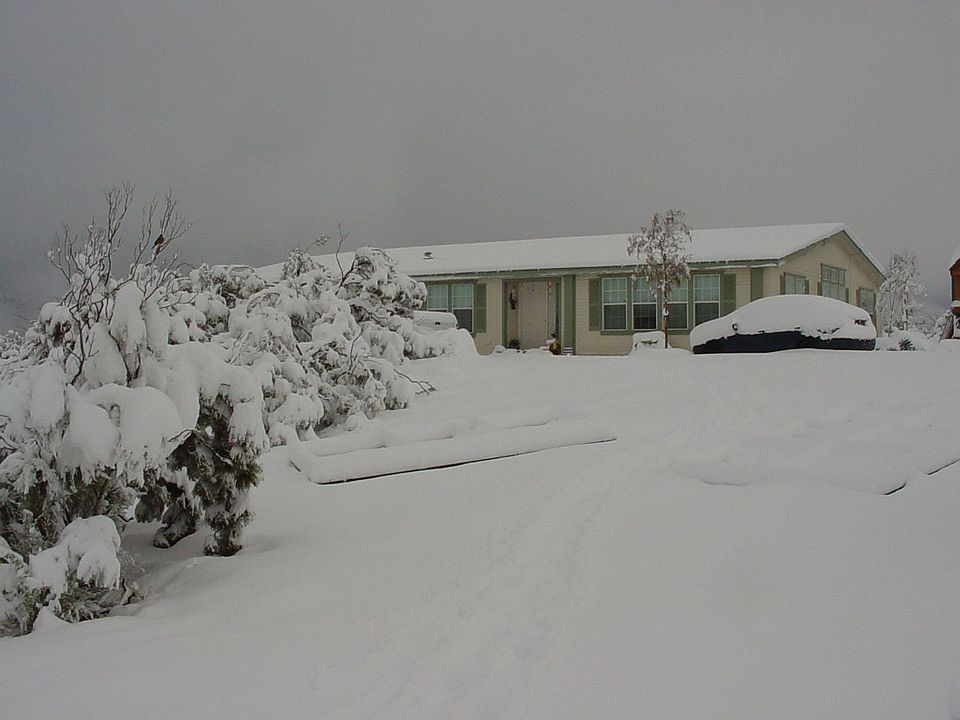 March 11,2006