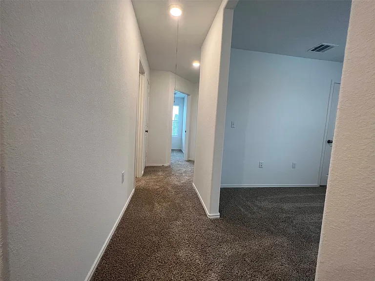 7224 Spotted Leaf Way — Photo 18