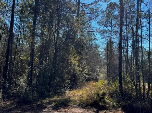 Green St, Abita Springs, LA 70420
