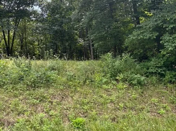 75 Streets, Greenup, IL 62428