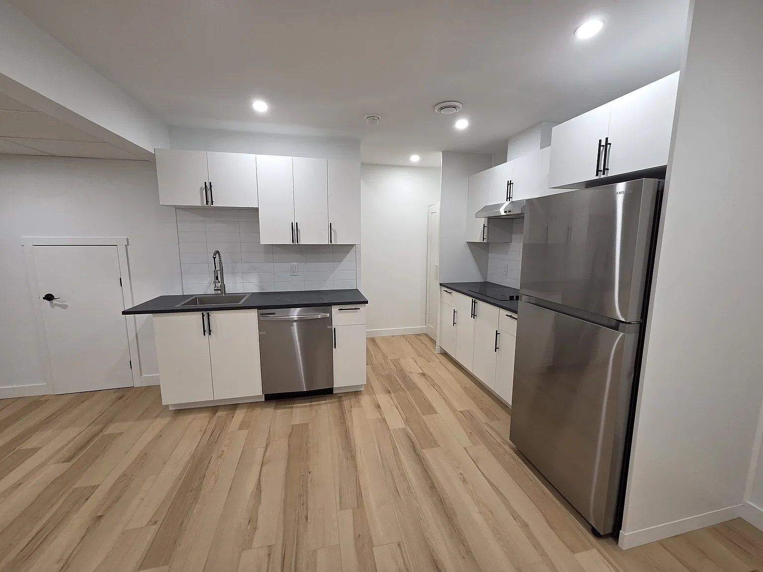 439 Aster Drive BSMT Suite — Photo 3