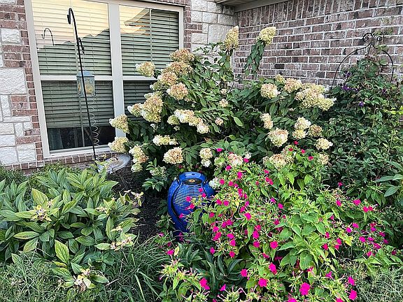 Blooms all summer