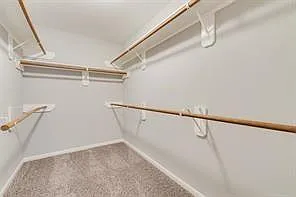 3210 Candlepine Dr — Photo 20