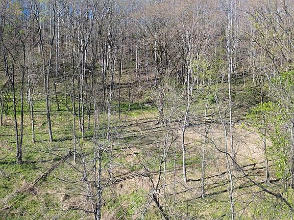 2nd image of 0 Blackberry Ridge Way