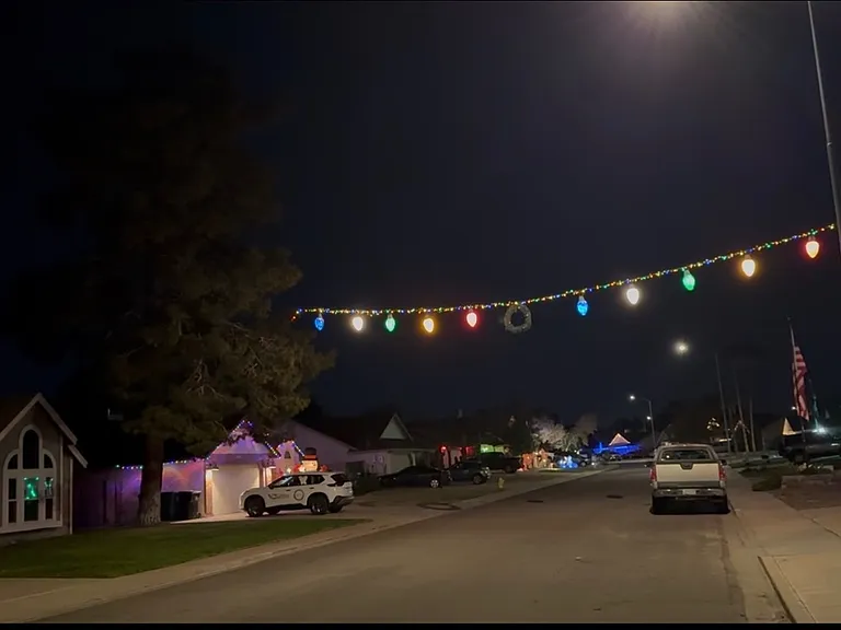 The street's annual string of holiday lights :) Great neighbors and neighborhood