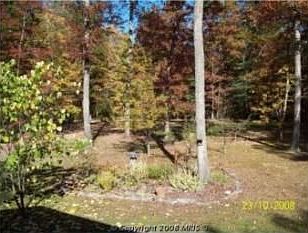3rd image of 225 Bobby Ln