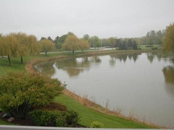 Pond View