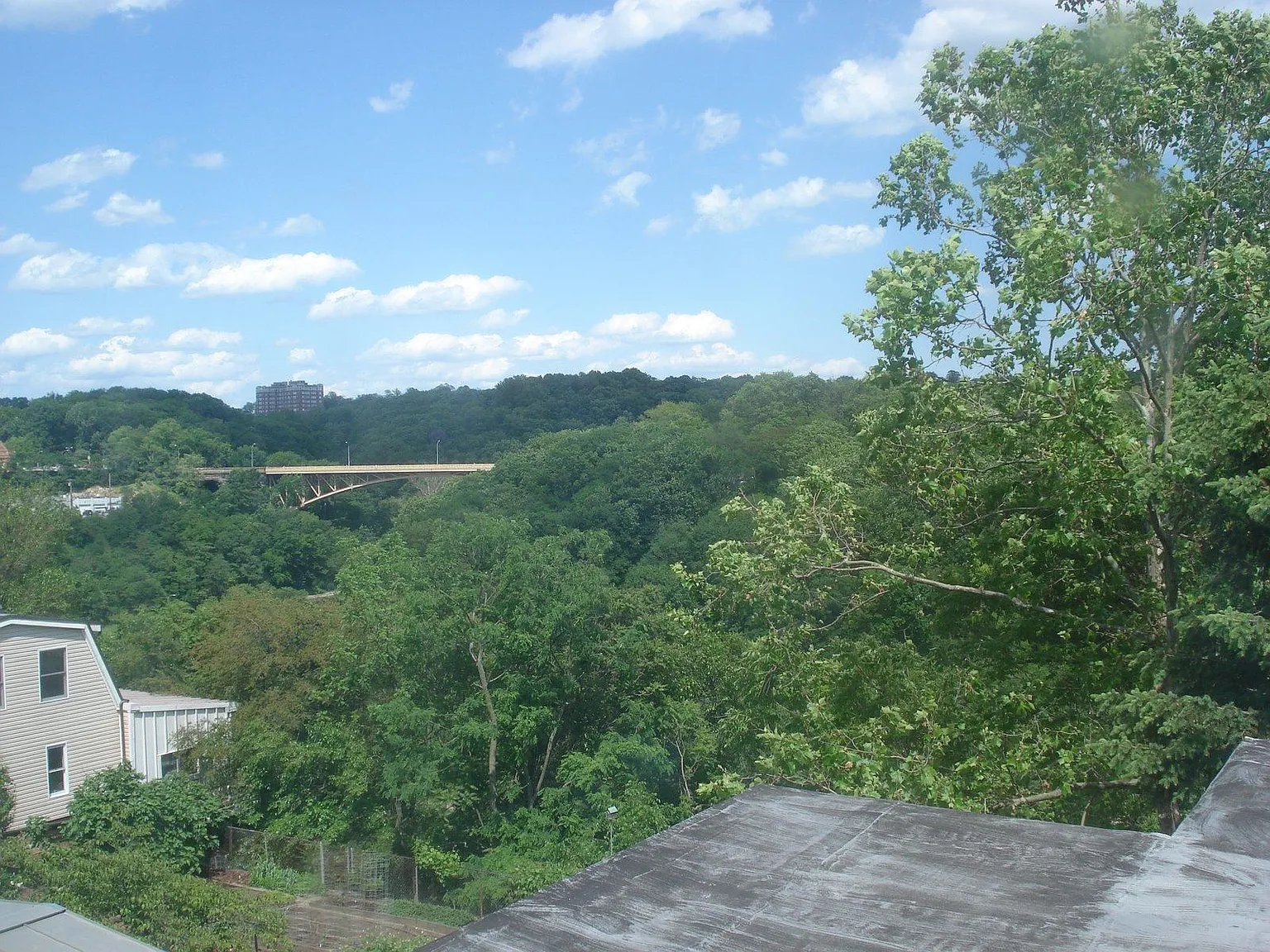 Parkview Ave, Pittsburgh — Photo 2