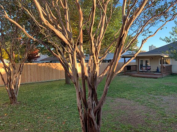 Backyard towards deck