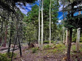 275 Vermejo Cir, Angel Fire, NM 87710