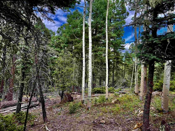 Lot 275 Vermejo Circle, Angel Fire, NM 87710