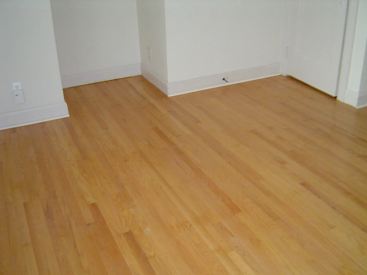 1 bed, 620 sqft, $1,250 — Photo 4