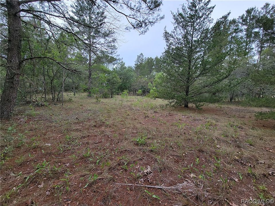 1st image of 10262 N Brooks Ter