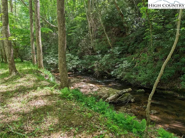 0 Luffman Road, Dobson, NC 27017