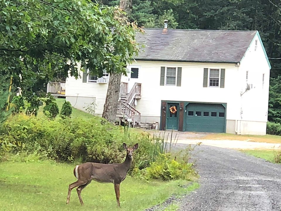 2nd image of 182 Blackwater Rd