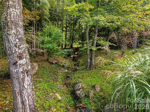 33rd image of 420 Chimney Rock Dr