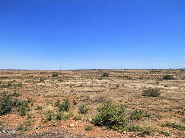 16 County Road 6016, Saint Johns, AZ 85936