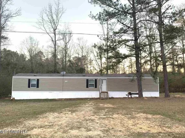 1351 Smith County Rd #117, Raleigh, MS 39153