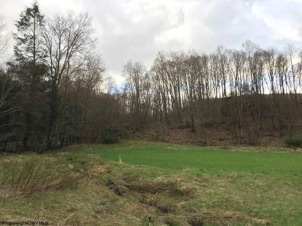 37.2 Lawrence Rd, Dryfork, WV 26263