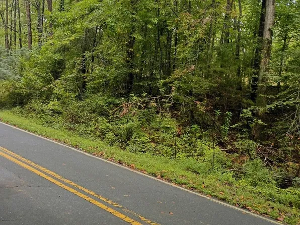 0 Ed Thompson Rd, Rutherfordton, NC 28139