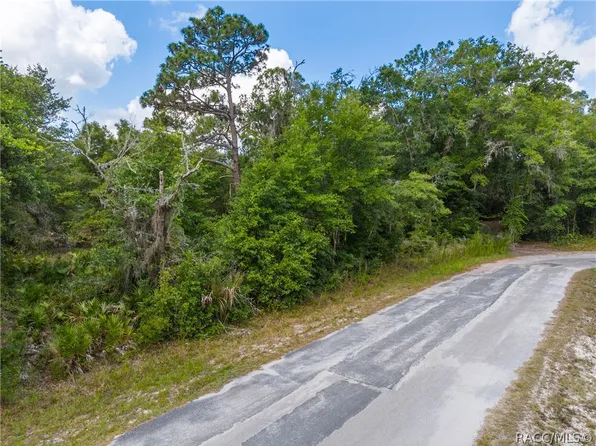 12180 W Olive Tree Ln, Crystal River, FL 34428