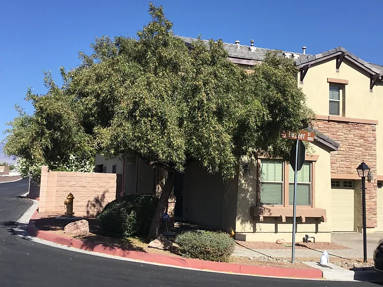 8105 Tazeer St — Photo 2