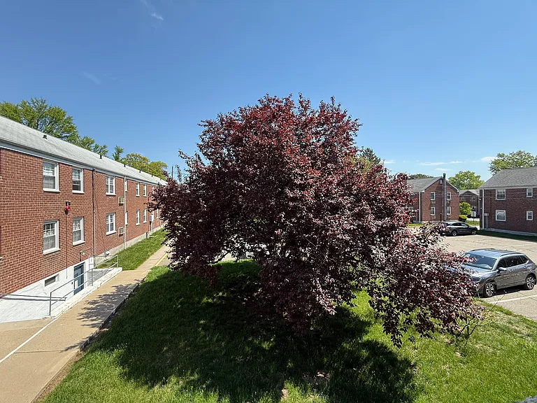 20 Clark Ct #20 — Photo 8