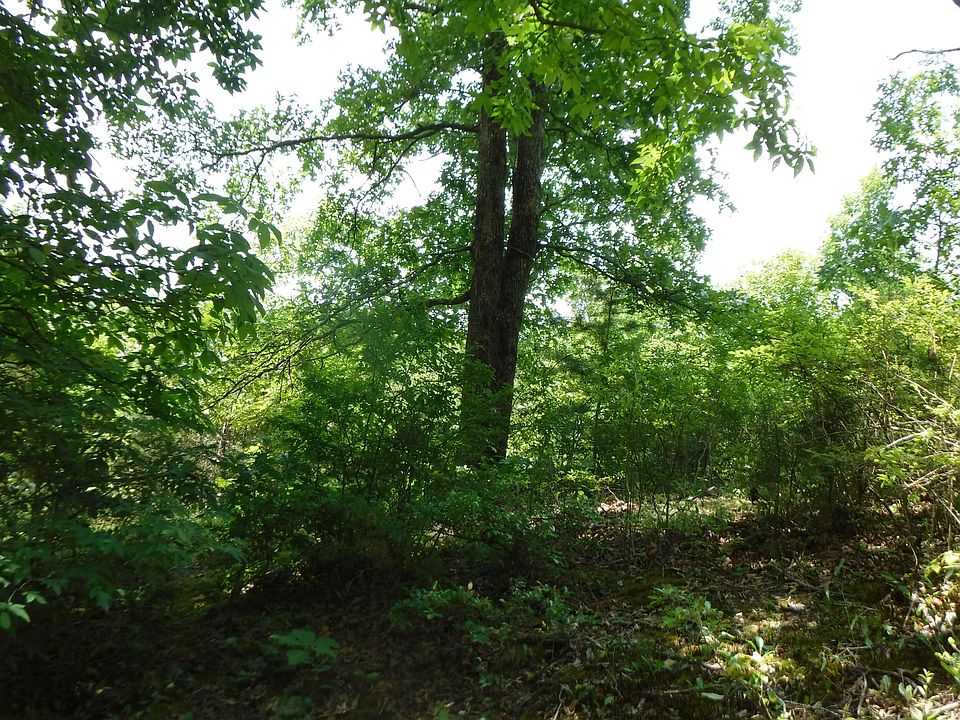 1st image of 32.51A Gentry Ln