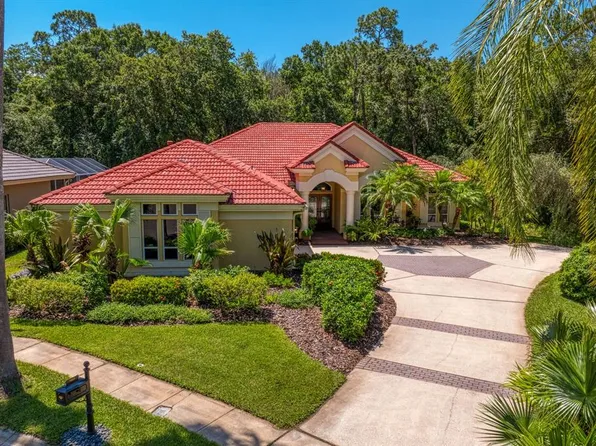 9801 Emerald Links Dr, Tampa, FL 33626