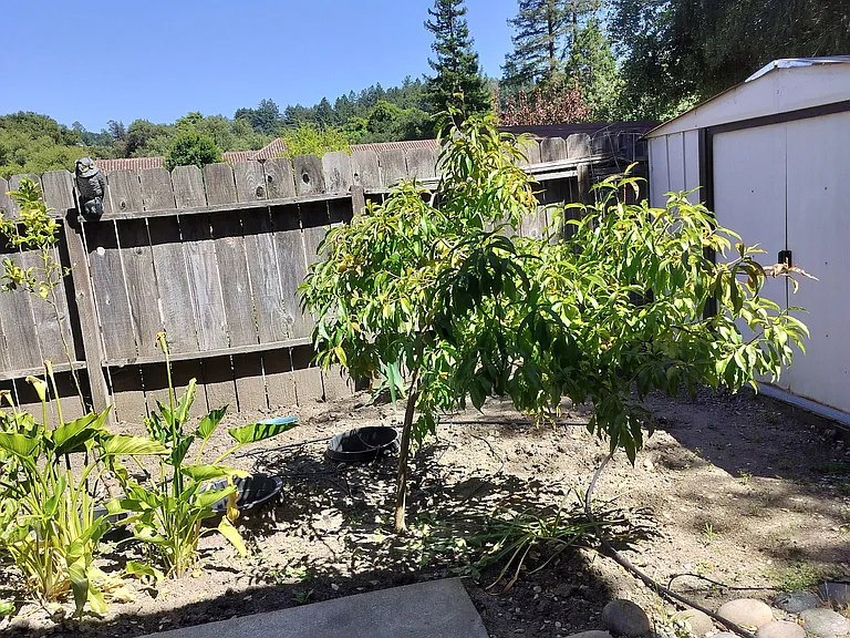 114 Grace Way #A — Photo 9