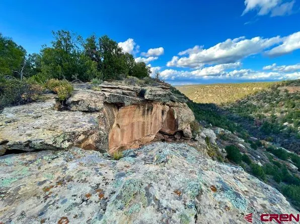 Lot 15A County Road 17.5 - Ryman Canyon East, Pleasant View, CO 81331