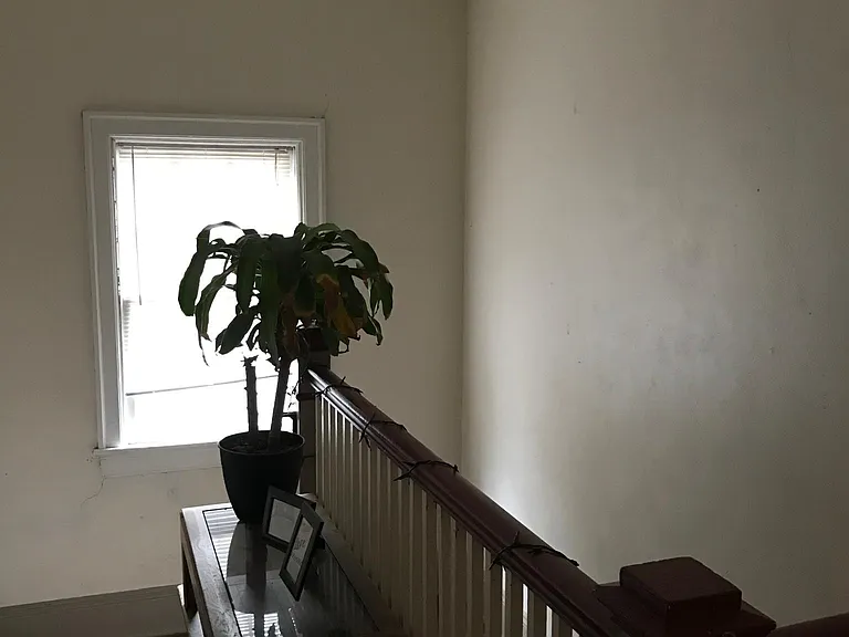 115 Chamberlain St — Photo 21