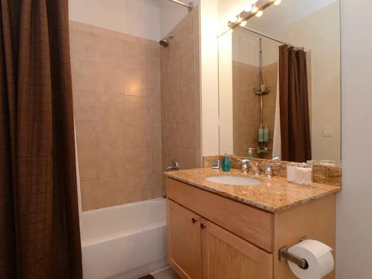 700 N Larrabee St #1203 — Photo 9