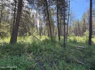 46 Ares Way, Priest River, ID 83856
