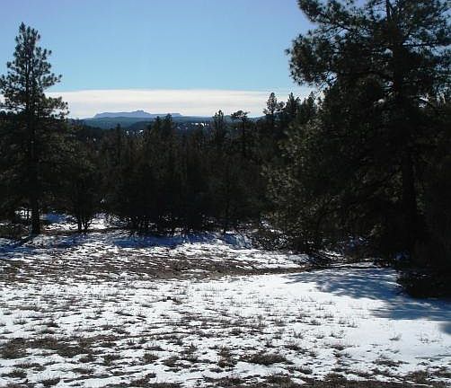 5th image of Unassigned County Rd 55.4