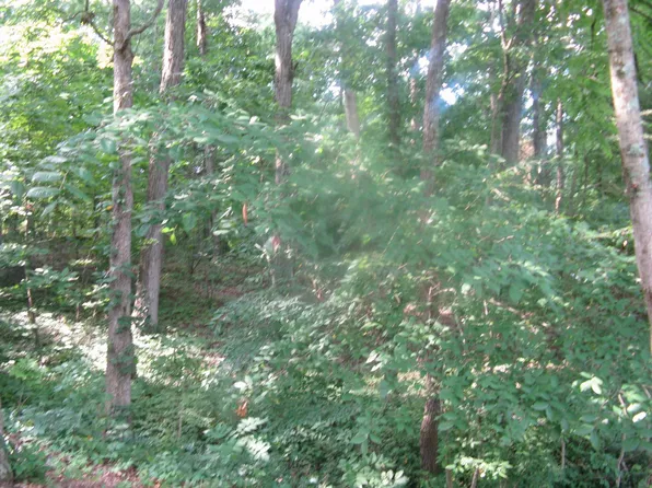 0 W Pine Dr #92, Santa Claus, IN 47579