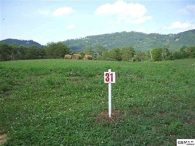 1st image of 31 Grassy Knoll Ct Lot 31