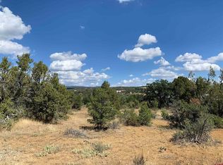 5 County Road 232, Durango, CO 81303