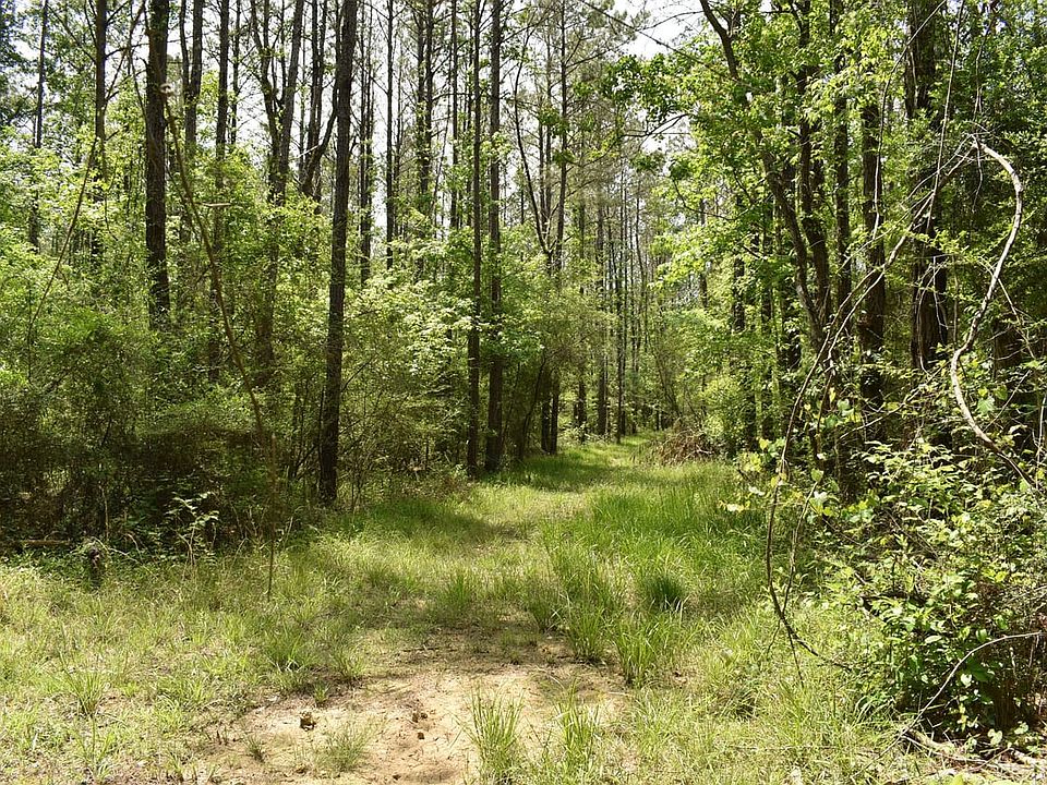 1st image of Fire Tower Rd