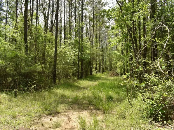 Fire Tower Rd, Springfield, LA 70462