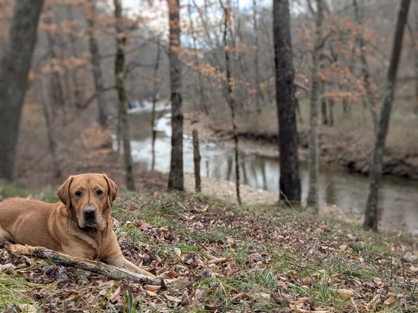 319 N Chisholm Creek Rd, Lawrenceburg, TN 38464