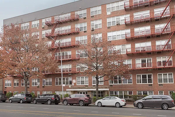 Sold by Bold New York | media 17