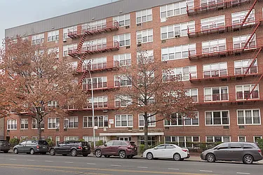 Sold by Bold New York