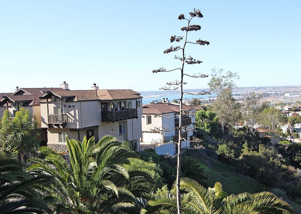 panoramic views