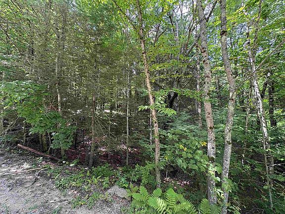 2nd image of Craig Road
