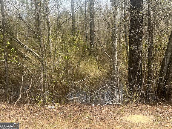 5th image of 0 Marshall Church Rd