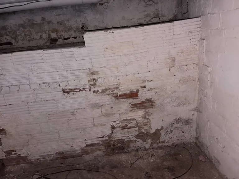 1513 S Livingston St — Photo 15